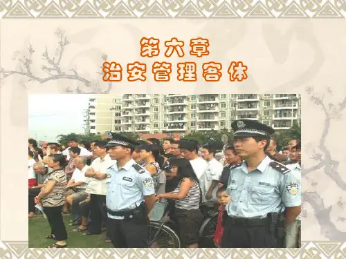 第六章 治安管理客体