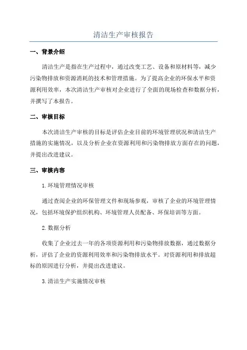清洁生产审核报告 2