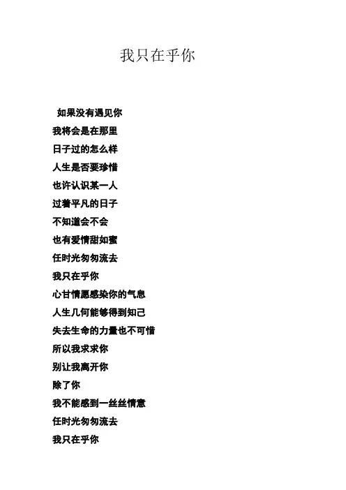 我只在乎你中文歌词,