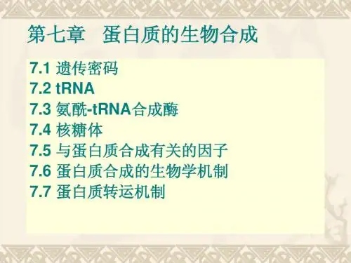 分子生物学 第七章 蛋白质的生物合成
