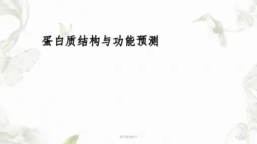 蛋白质结构与功能预测课件
