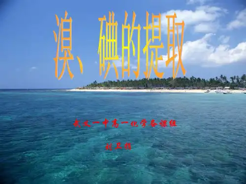 碘的提取(精)