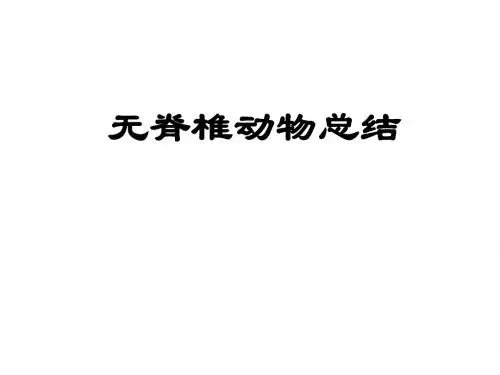无脊椎动物总结