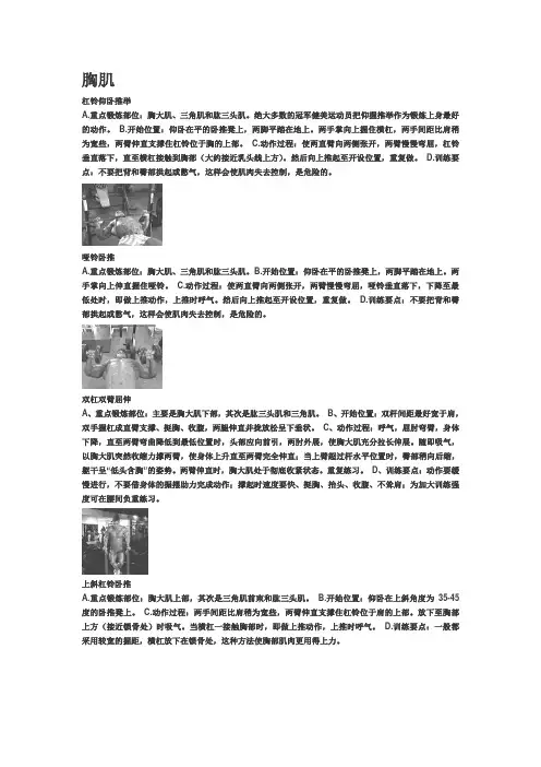 全身肌肉锻炼方法