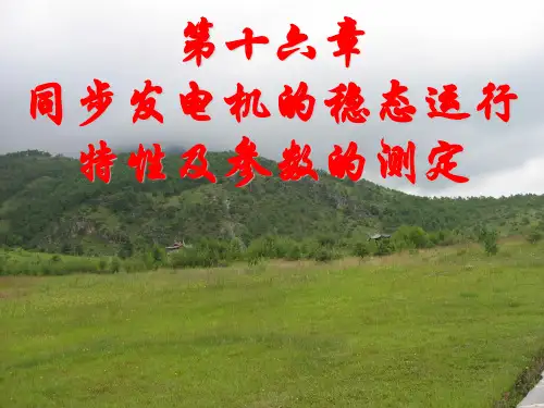 同步发电机的稳态运行特性及