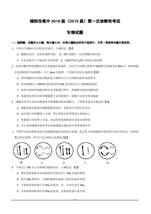 四川省绵阳市2019届高三上学期第一次(11月)诊断性考试理综生物试题 (附答案)