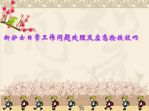 护士工作问题处理PPT课件