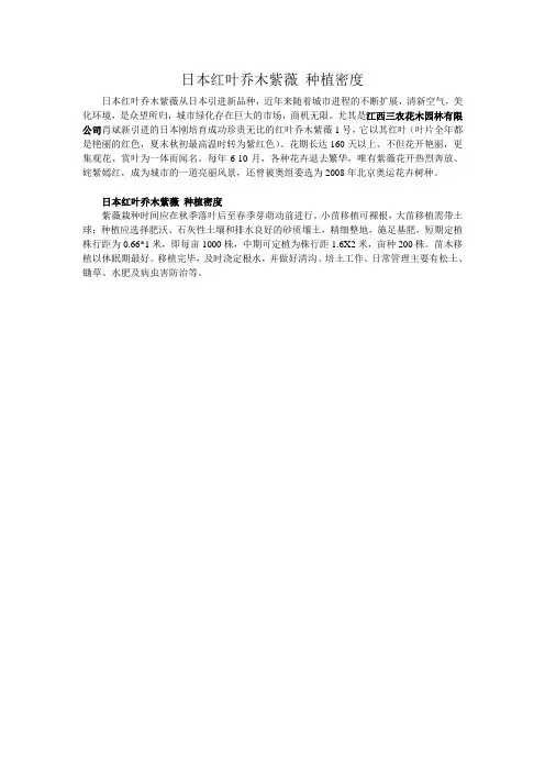 日本红叶乔木紫薇种植密度