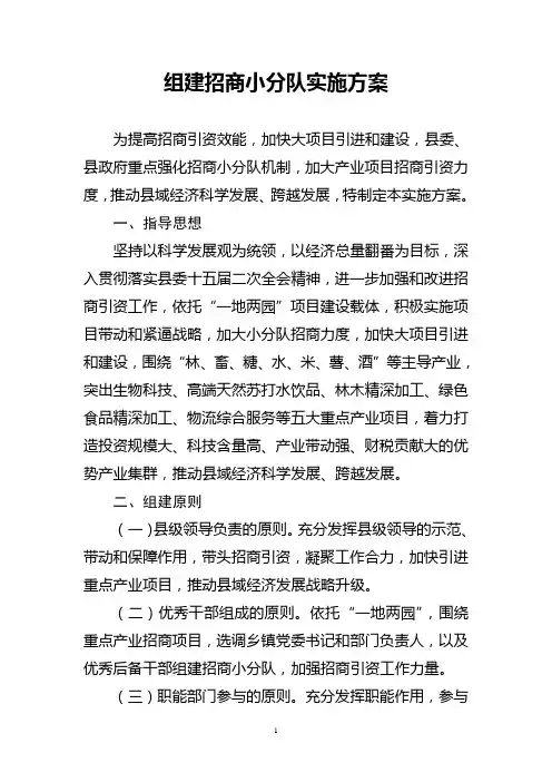 组建招商小分队实施方案