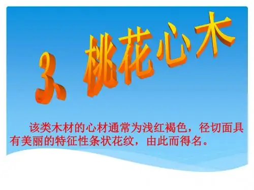 3、桃花心木(1)