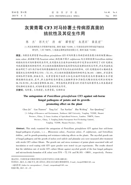 灰黄青霉CF3对马铃薯土传病原真菌的拮抗性及其促生作用