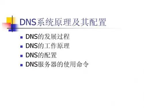 DNS系统原理及其配置