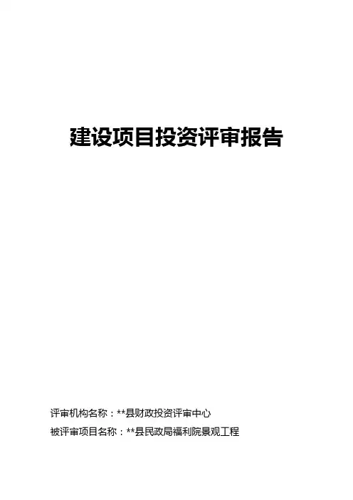 评审报告 Microsoft Word 文档