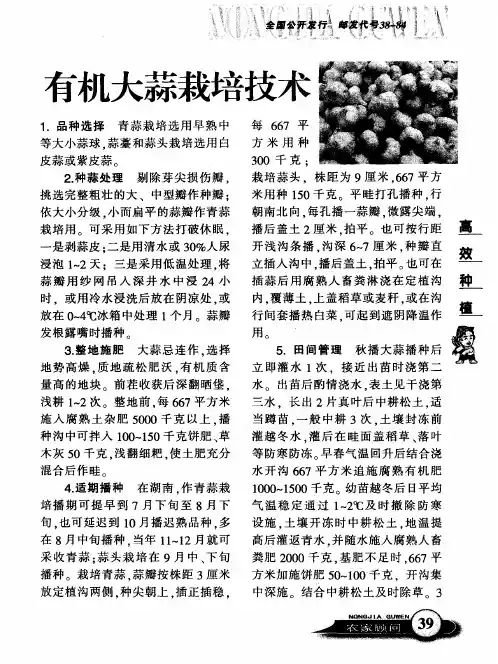 有机大蒜栽培技术