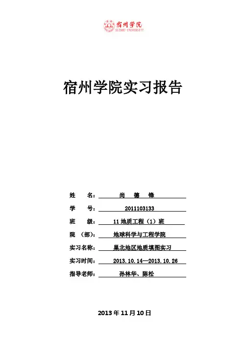 巢湖地质实习报告