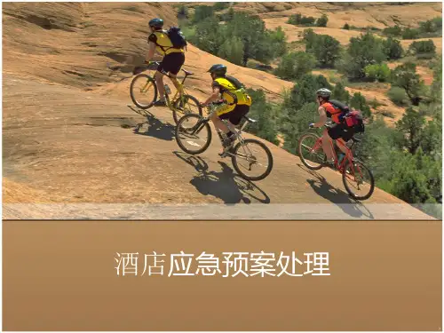 应急预案PPT