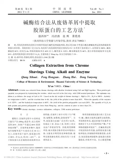 碱酶结合法从废铬革屑中提取胶原蛋白的工艺方法