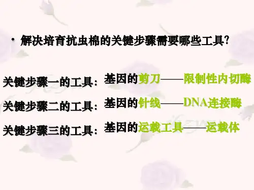 高二生物选修3 基因工程 ppt