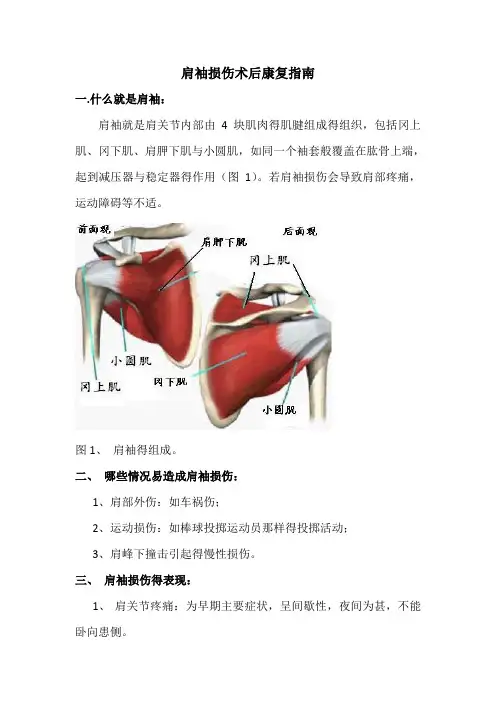 肩袖损伤术后康复指南