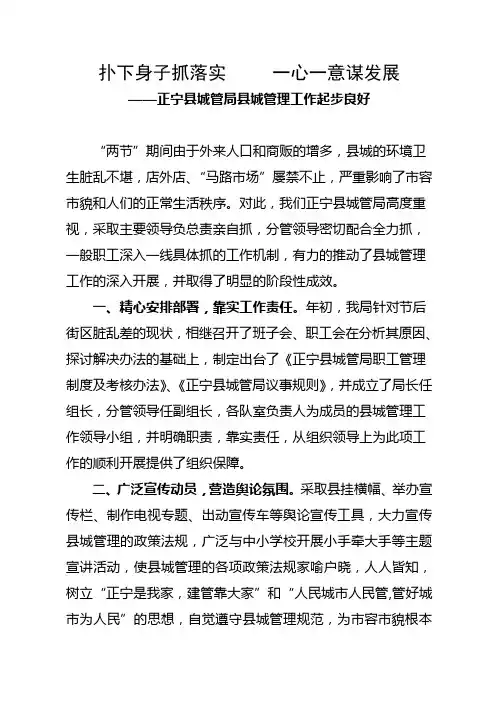 扑下身子抓落实     一心一意谋发展