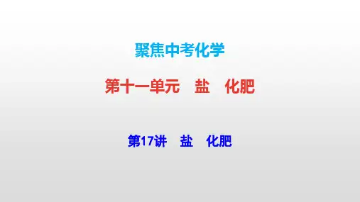 聚焦中考化学【第17讲 盐 化肥】