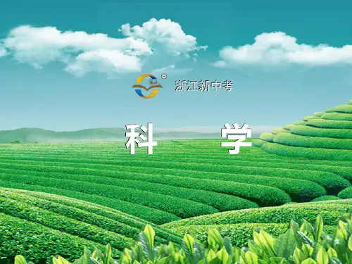人与动物的生殖和发育