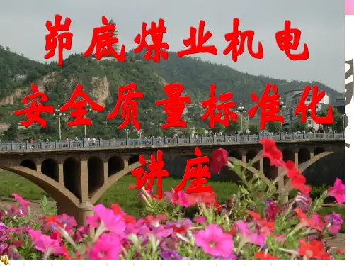 煤矿机电质量标准化