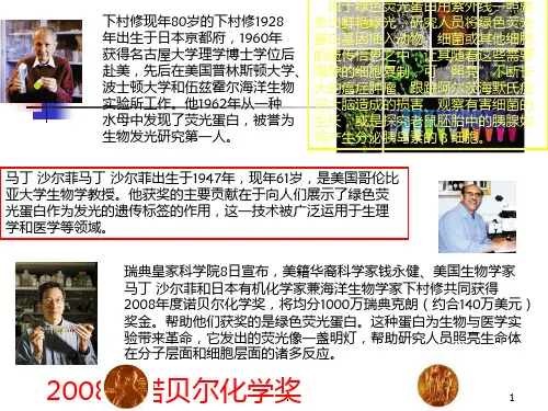 荧光光谱分析法PPT课件