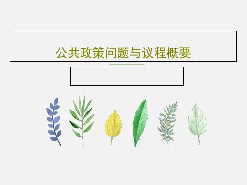 公共政策问题与议程概要共39页文档