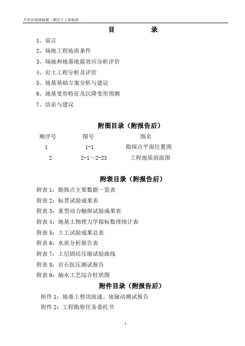 地质报告