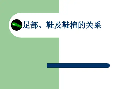 鞋与鞋楦
