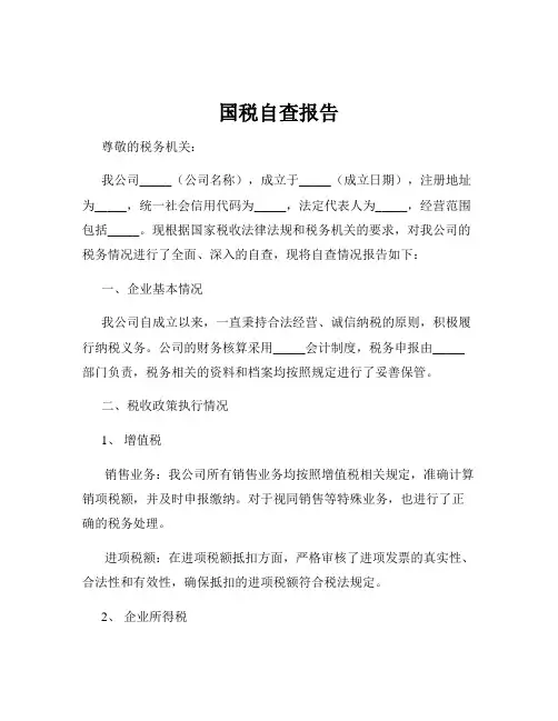 国税自查报告