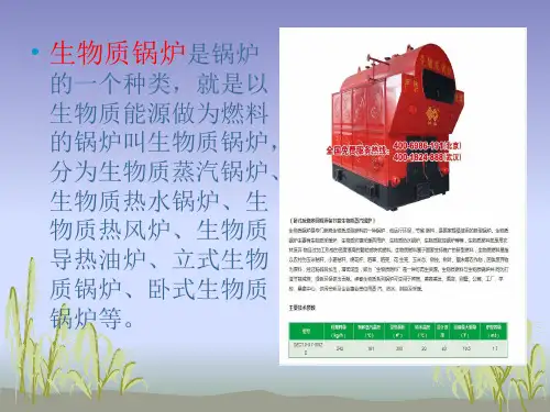 生物质锅炉解读