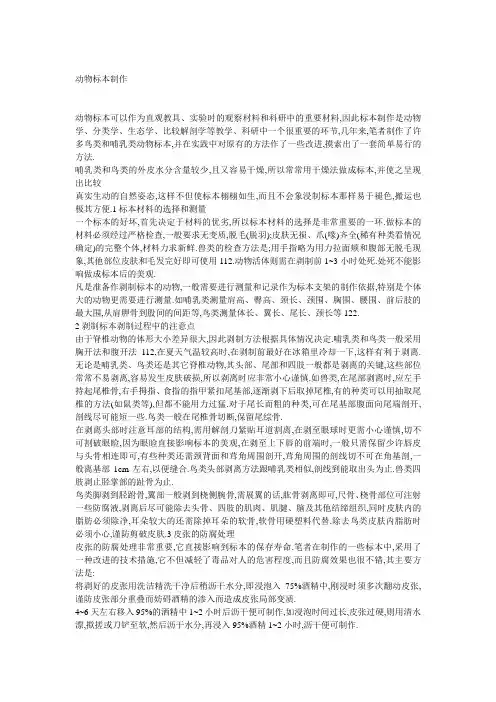 动物标本制作