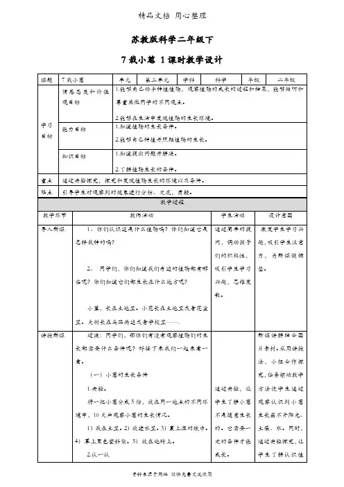 (新教材)苏教版二年级下册科学 第7课 栽小葱 教案(教学设计)