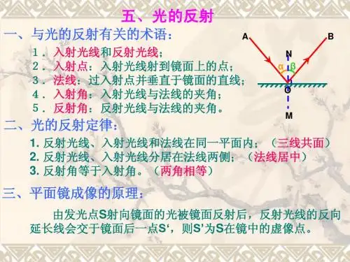 光的反射