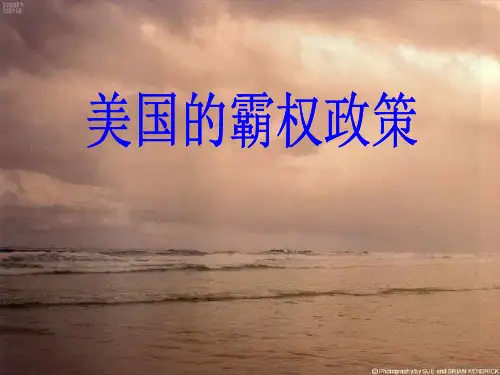 美国的霸权政策