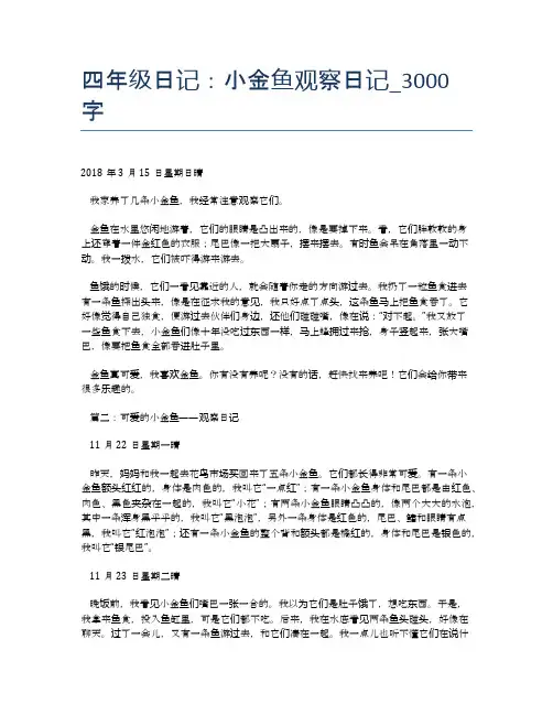 四年级日记：小金鱼观察日记_3000字