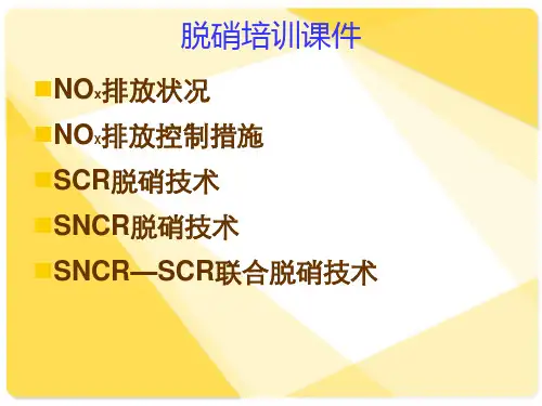 脱硝培训课件