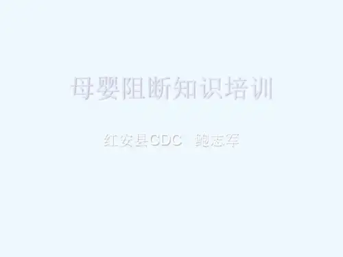 母婴阻断知识培训妇幼