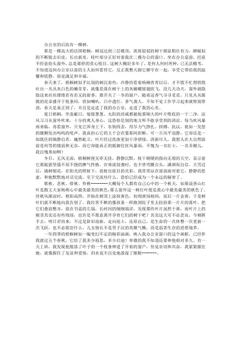 窗外有棵梧桐树