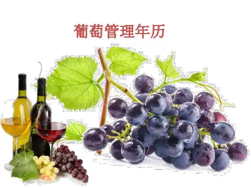 葡萄管理