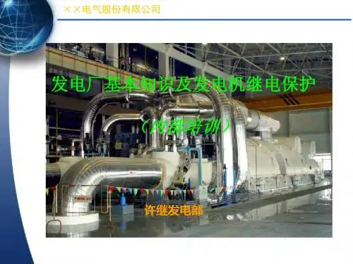 许继发电厂基本知识及发电机继电保护-PPT精选文档