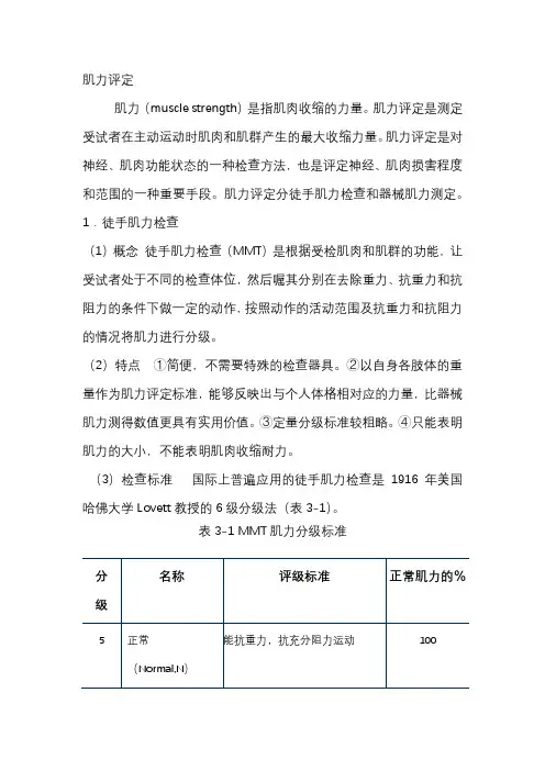 肌力评定 3