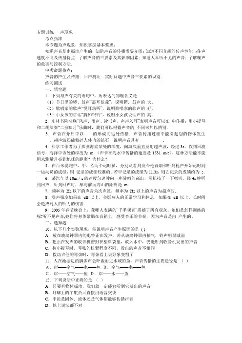 2011年中考物理专题复习训练专题一 声现象