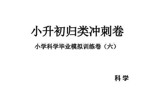 小学科学教科版科学小升初模拟训练卷(六)
