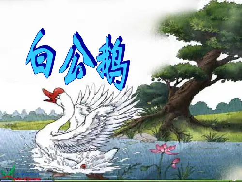 四年级语文白公鹅修改