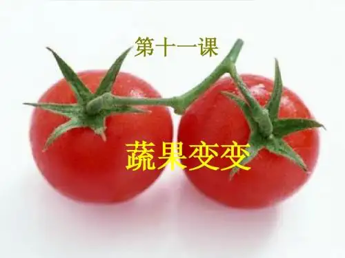 第十一课  《蔬果变变》课件