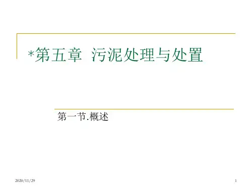 污泥精品PPT课件