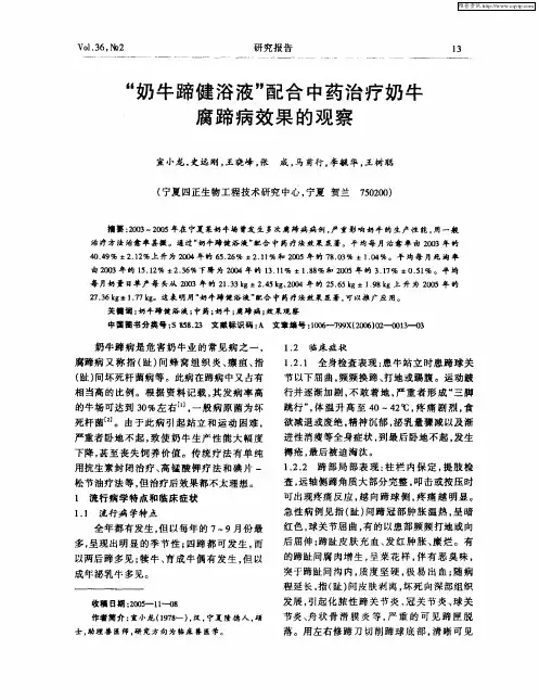 “奶牛蹄健浴液”配合中药治疗奶牛腐蹄病效果的观察